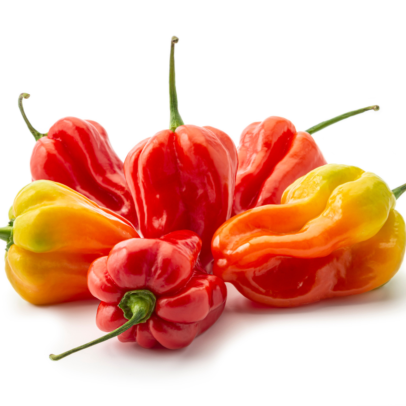 Hot Pepper Sauce (16 oz)